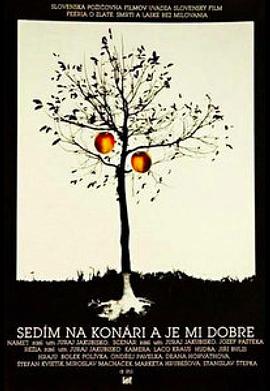 小飞的梦想 封面图